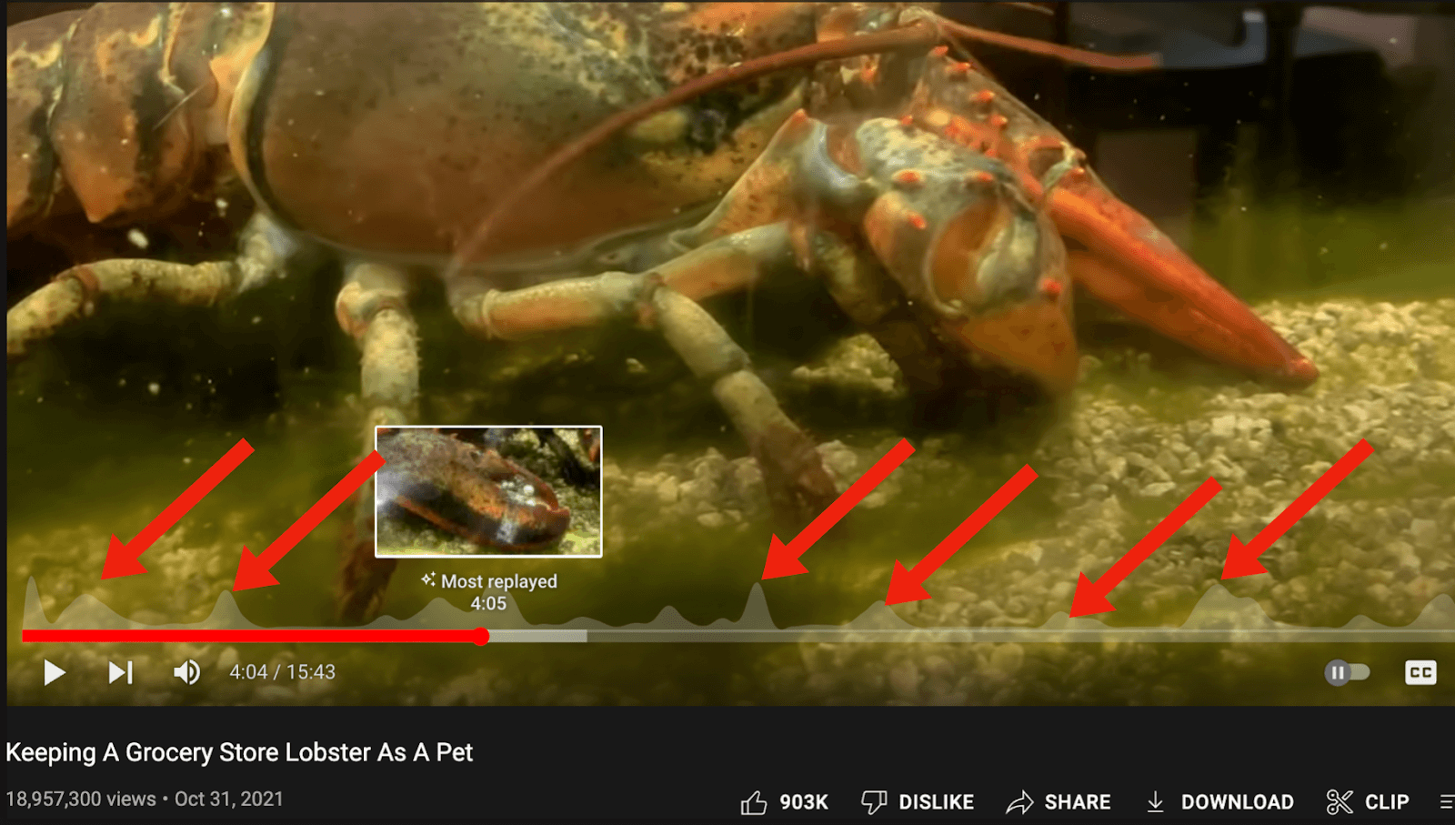 بدء قناة يوتيوب